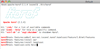 Figure 3: Installing and using the command